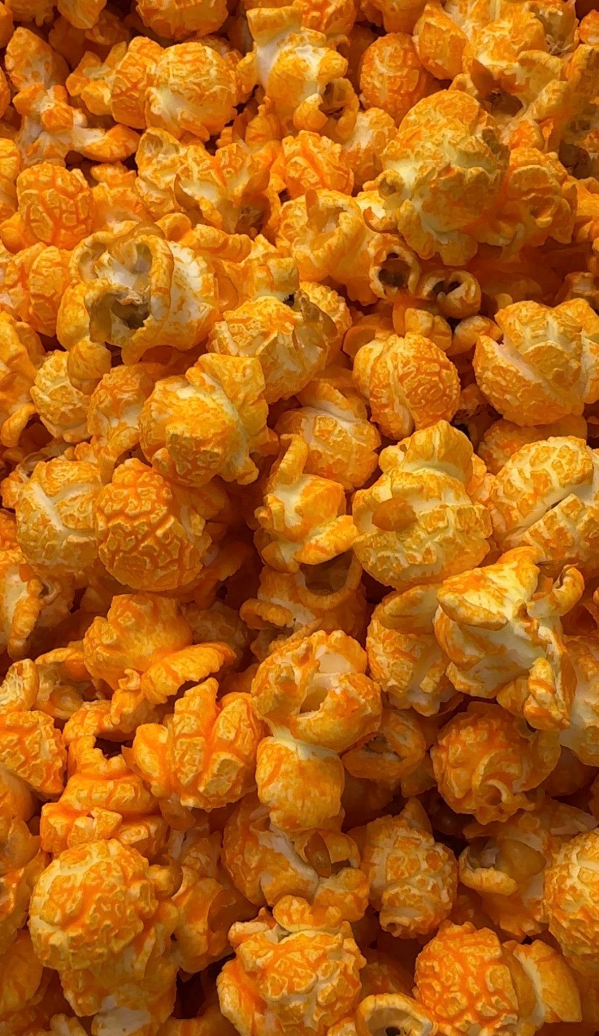A close-up, top-down view of a dense pile of orange cheddar popcorn kernels filling the entire frame.